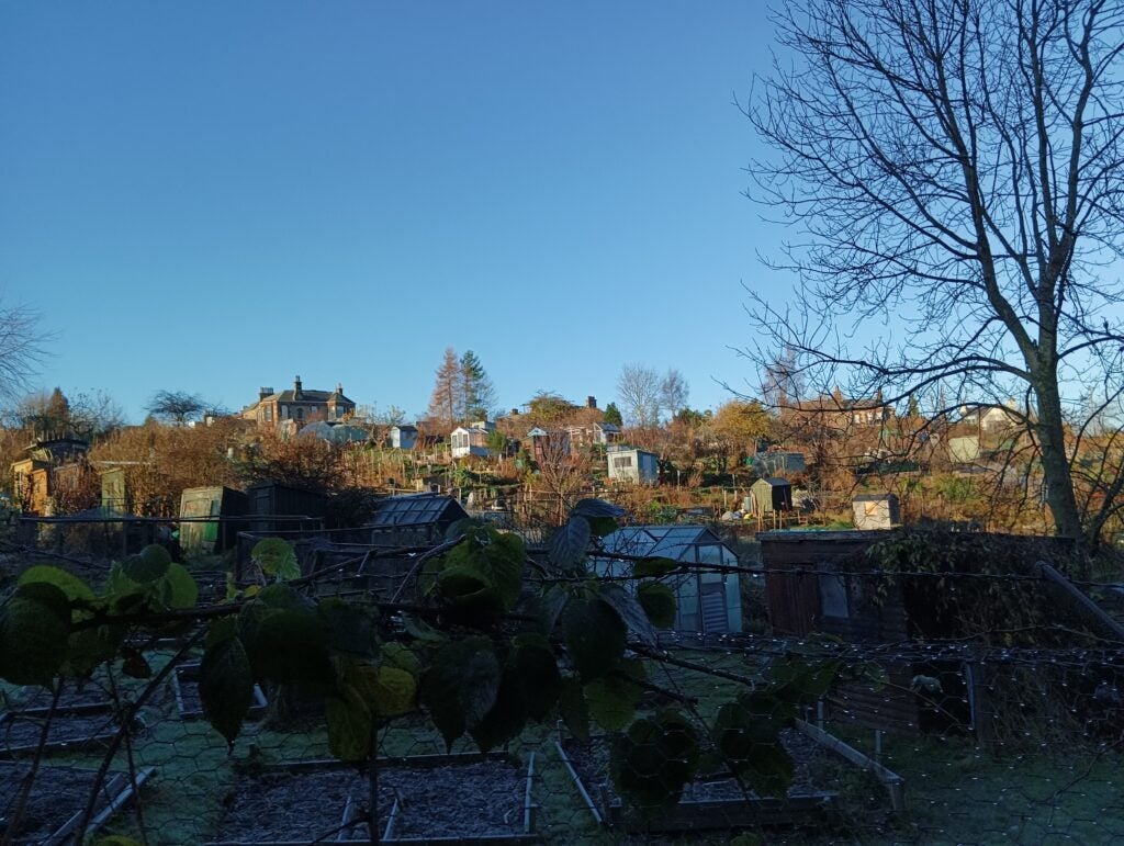 Image taken by the Poco M4 Pro 5G of an allotment in the late afternoon