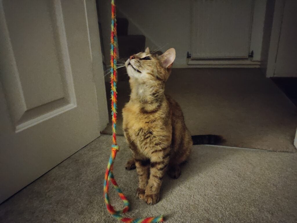 A Low-Light indoors shot from the Red Magic 7 Pro