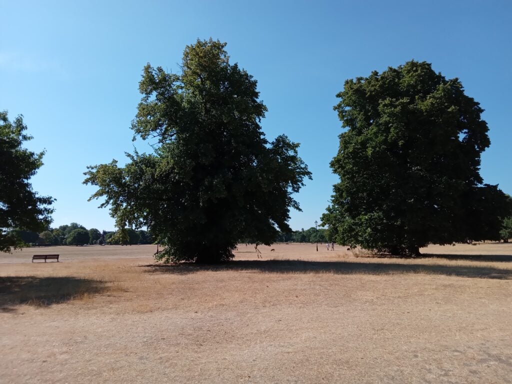 Foto de árboles del Samsung Galaxy A03s